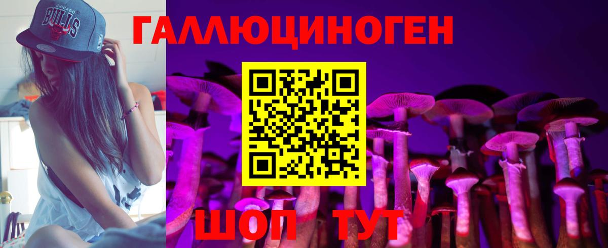 Галлюциногенные грибы мицелий Кизилюрт