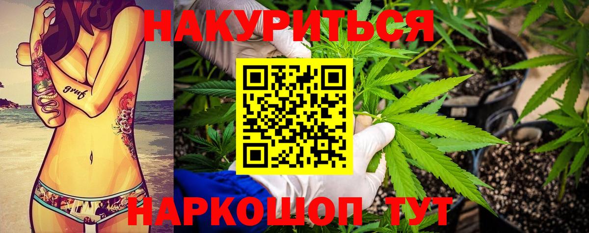 МАРИХУАНА ГИДРОПОН Кизилюрт
